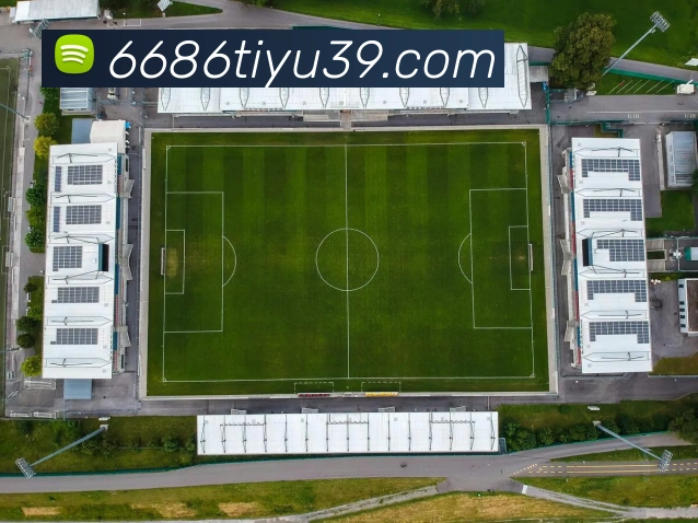 6686体育APP 封面图